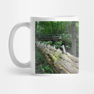 Split Rail Fence Mug